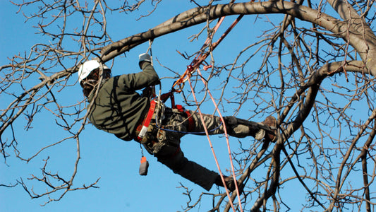 Lavori outdoor d’inverno: i 3 errori che non puoi permetterti